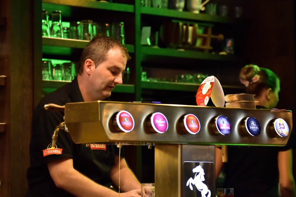 Ptakustik - Ostrava žije!